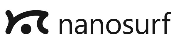 NSF Logo Text