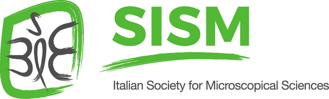 SISM Logo